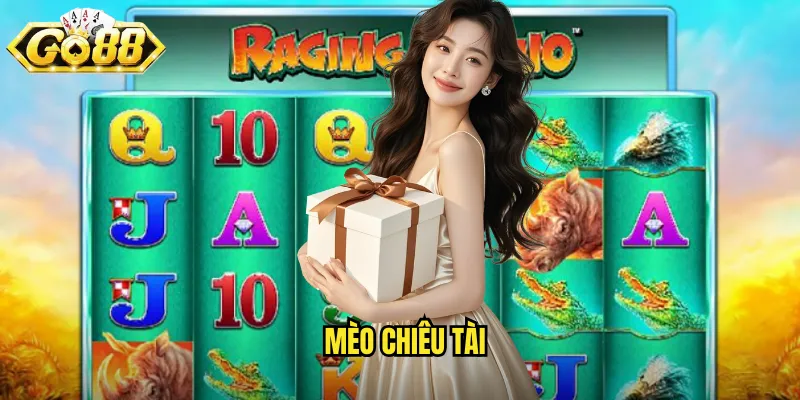 Mèo chiêu tài